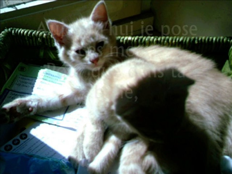 Ignace - 3 Juin 2009-3 Juin 2010