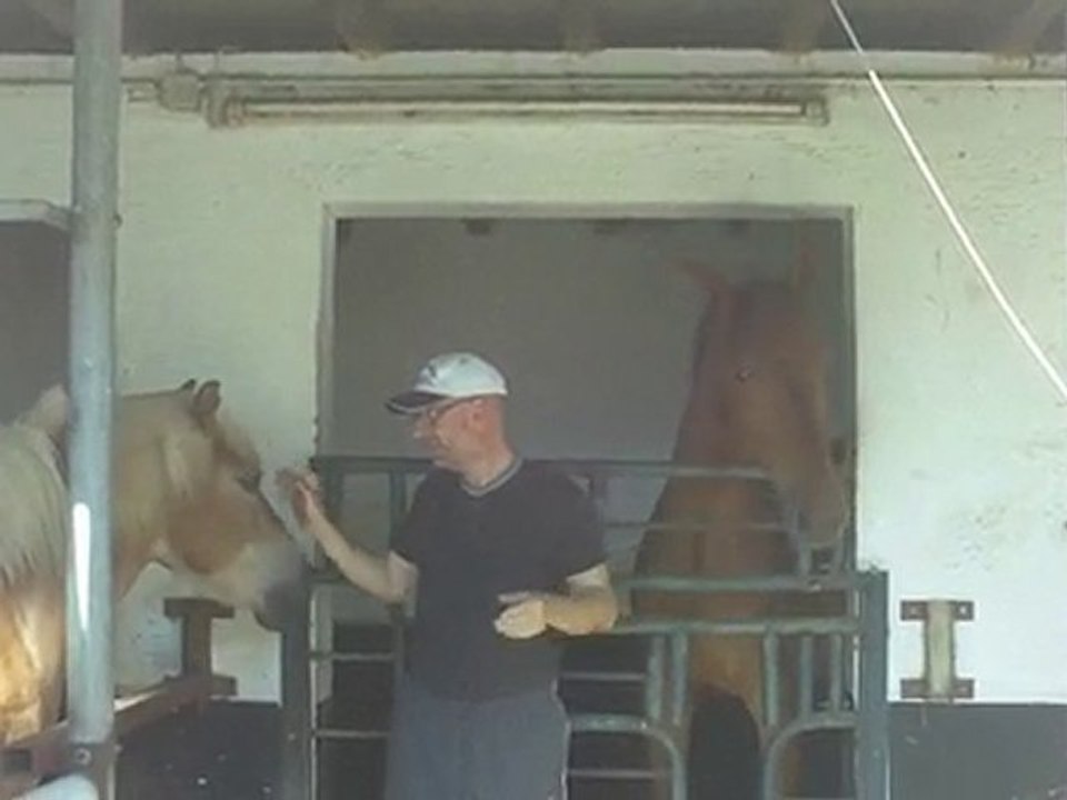 2010_06_03_Der 'Knecht' und seine Pferde