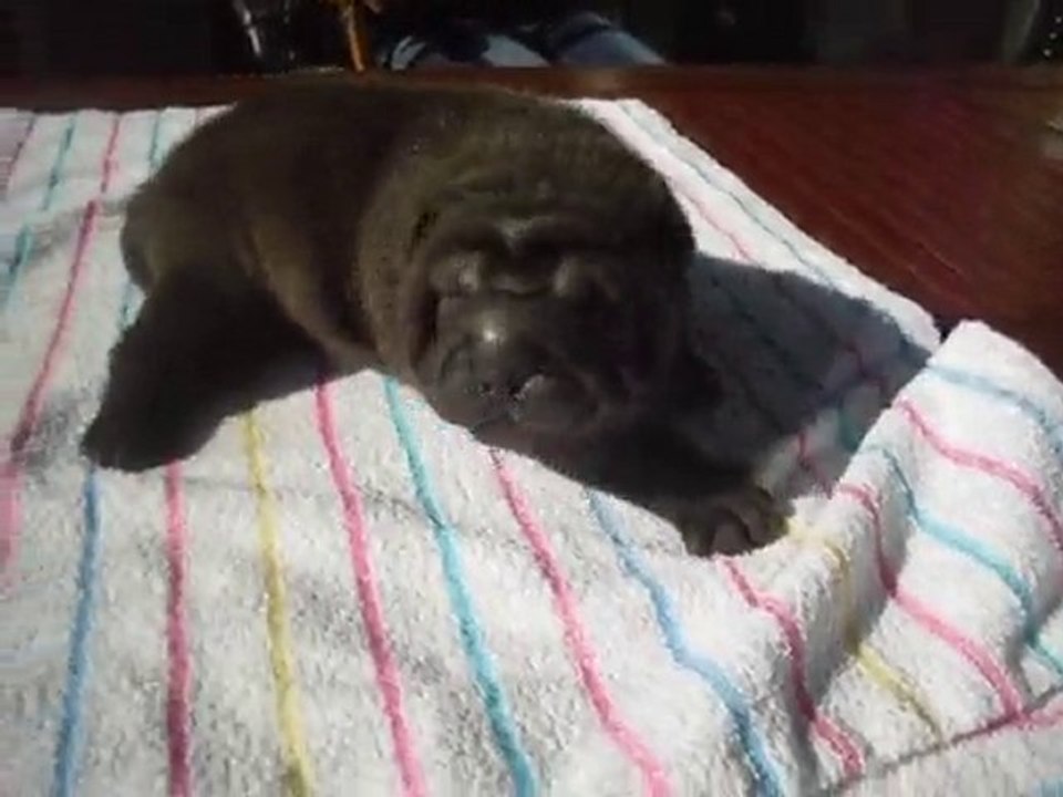 bébé vidéo le 2 juin 025