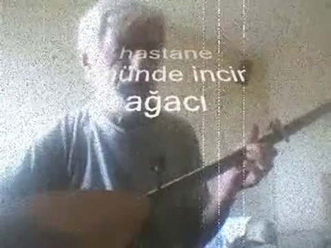 hastane önünde incir ağacı