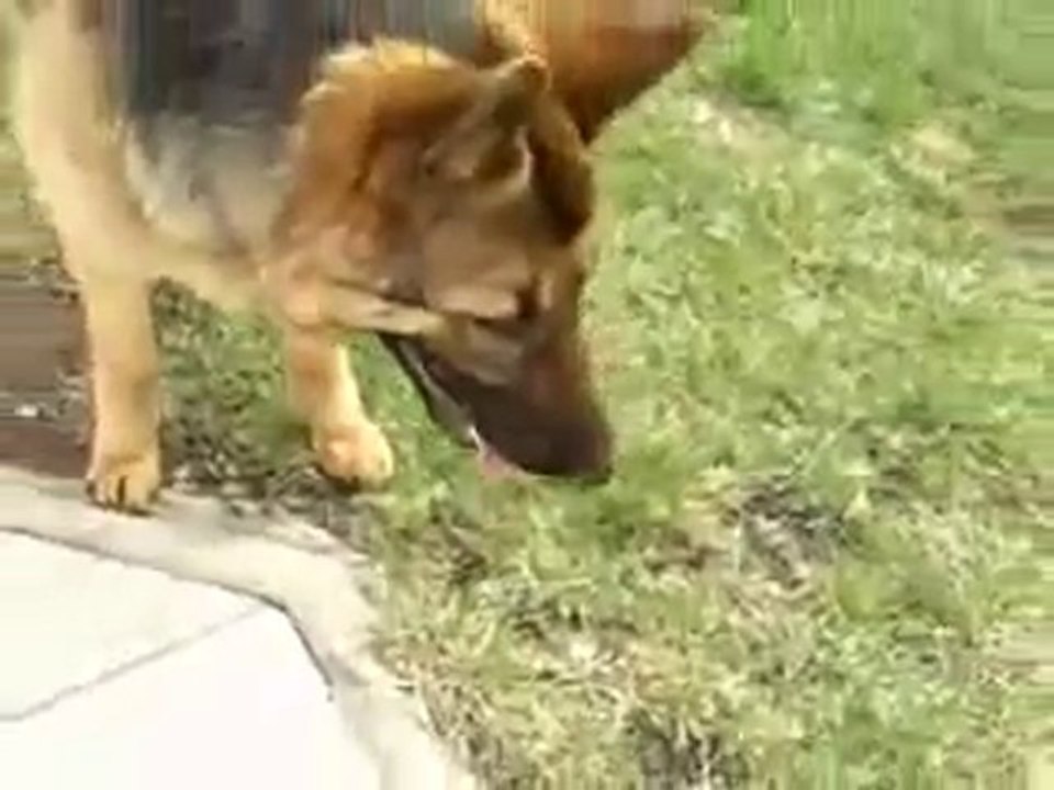 NIVEA Menergy  Bu Mücadeleye Yürek Dayanmaz !!