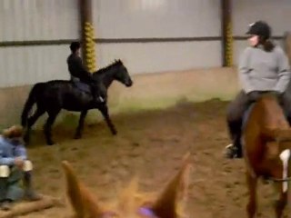 Galop du Mardi 1 er Juin 2010