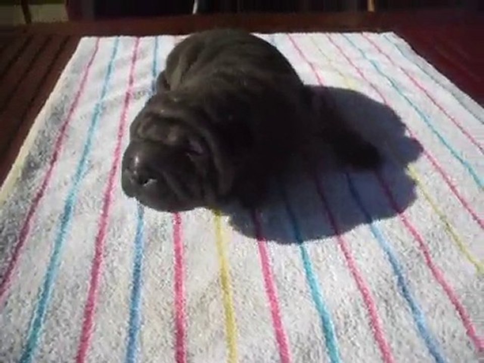 bébé vidéo le 2 juin 070