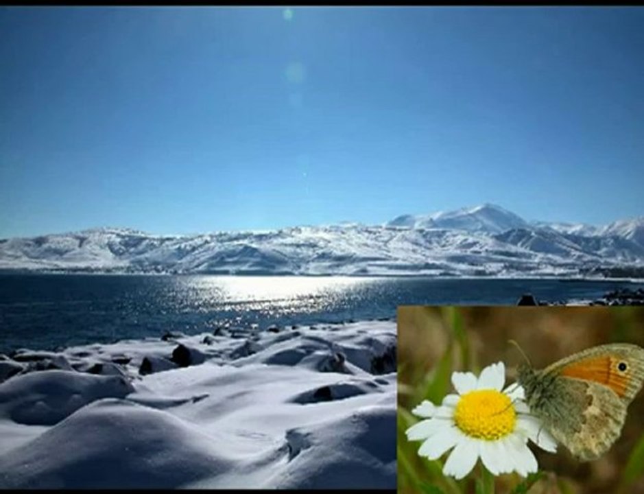 TATVAN ,KODOBAY