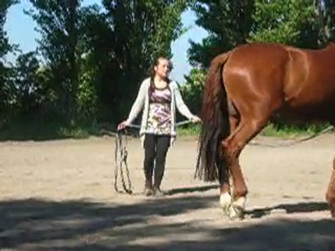 Désensibilisation à la carrière