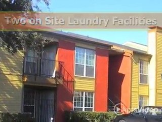 Castle Rock Apartments in Dallas, TX - ForRent.com