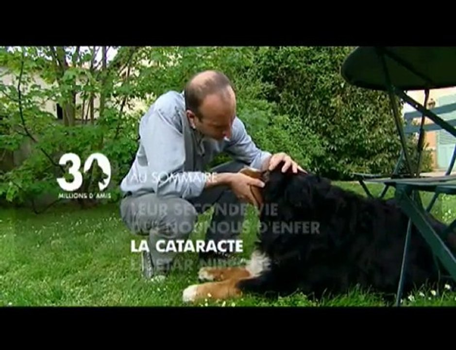 Sommaire émission 30 Millions d'Amis du 06 06 2010