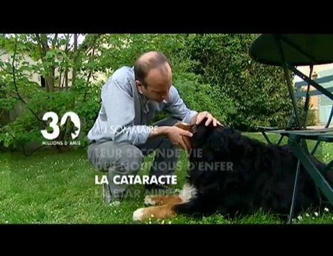 Sommaire émission 30 Millions d'Amis du 06 06 2010