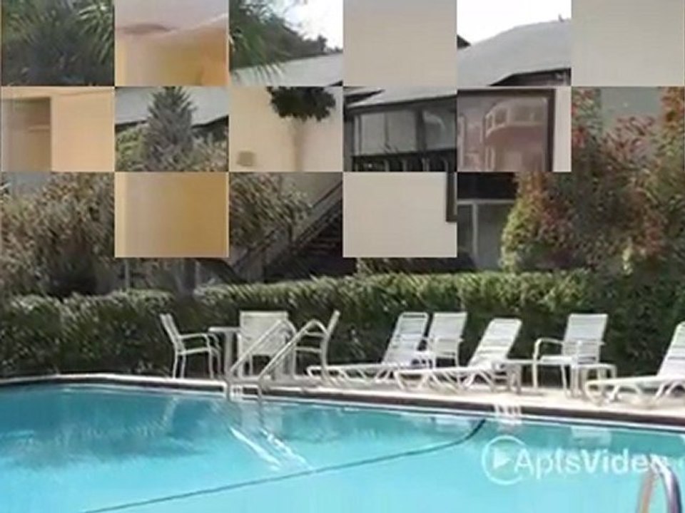 Brandon Oaks Apartments in Brandon, FL - ForRent.com