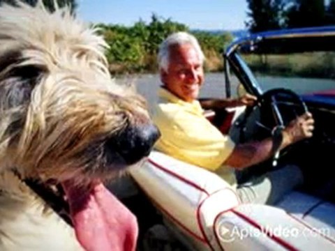 Park Gramercy Apartments in Los Angeles, CA - ForRent.com