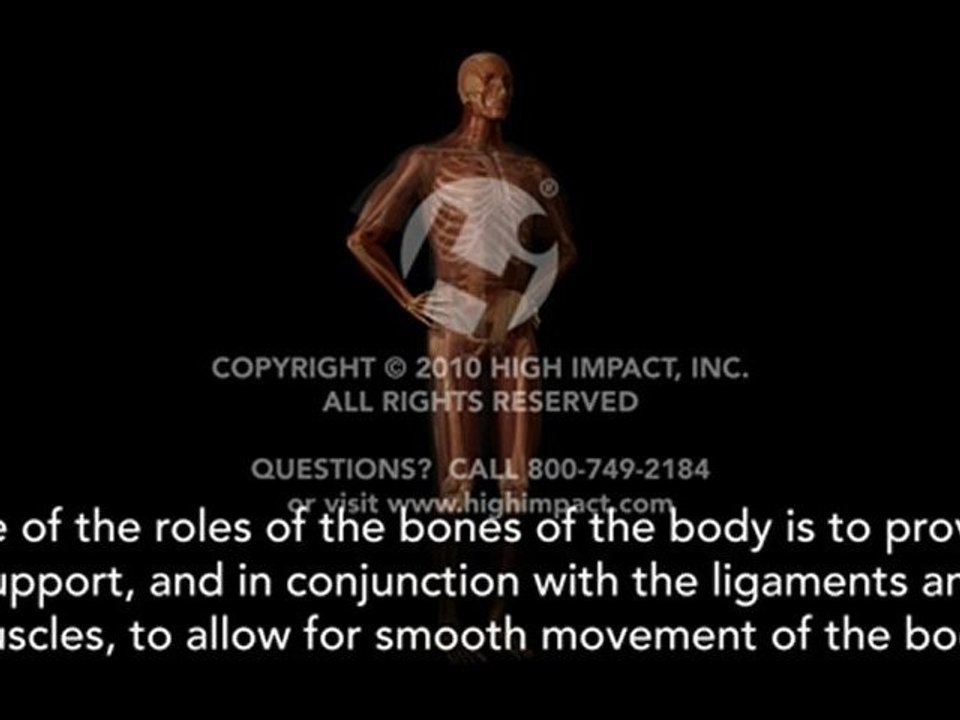 Role of Bone
