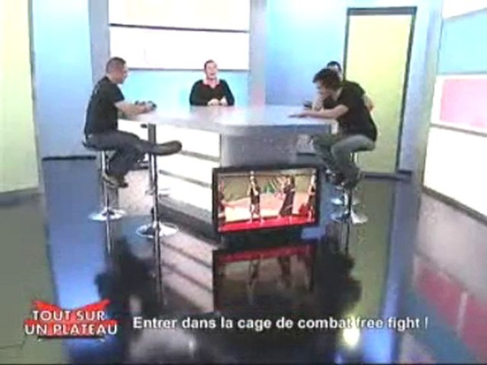 Reportage sur le MMA (Free Fight)