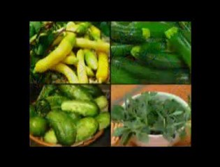 Topsy Turvy Tomato Tree