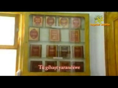 Peygamber Sevdalıları Ey Üstad Bediüzzaman