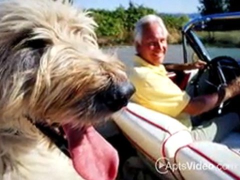 Terraces at Madrona Apartments in Sherman Oaks, CA - ...