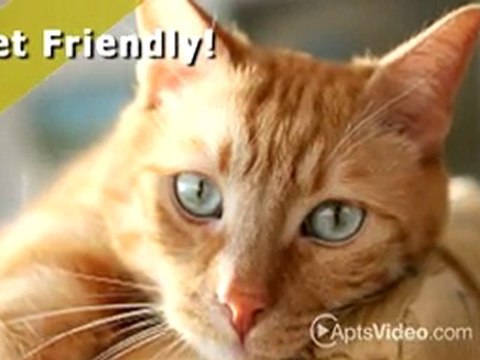 Windsor Park Apartments in Auburn, WA - ForRent.com