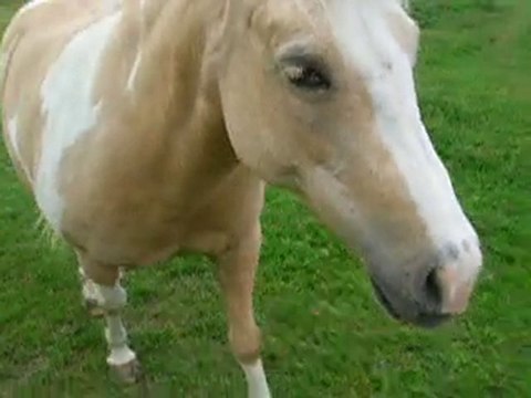 Kiss Me fin de séance 02/06