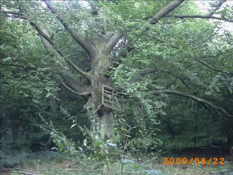 So Lange es Menschen gibt . " Die Sonnenkinder"
