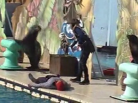 Marineland antibes mars 2009 1