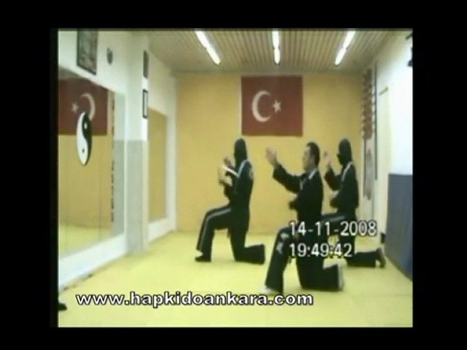 Hapkido Ankara Sadık Şahin nançuka