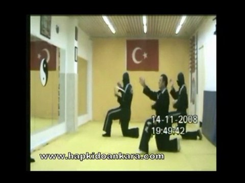 Hapkido Ankara Sadık Şahin nançuka