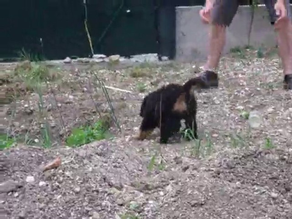 Première Cascade dans le Jardin ... un 360° en 1 seconde !
