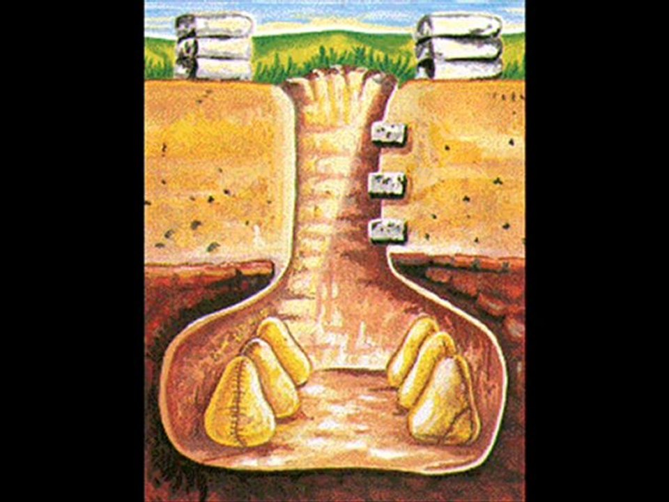 LAS CULTURAS DEL PERÚ