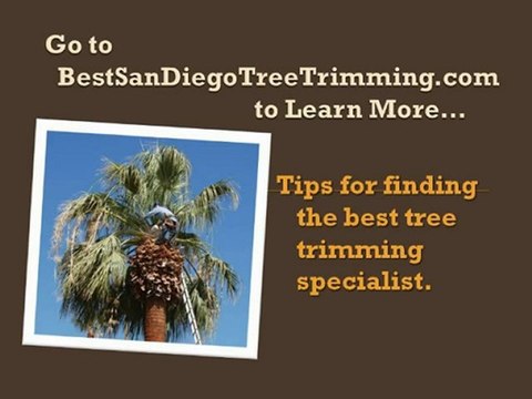San Diego Tree Trimmers