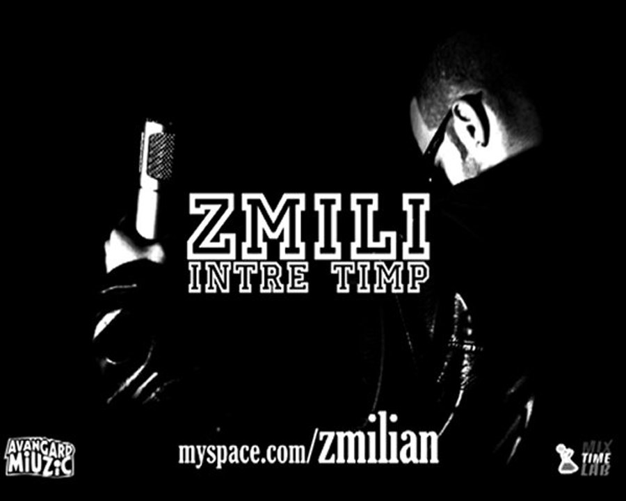 Zmili - Intre timp