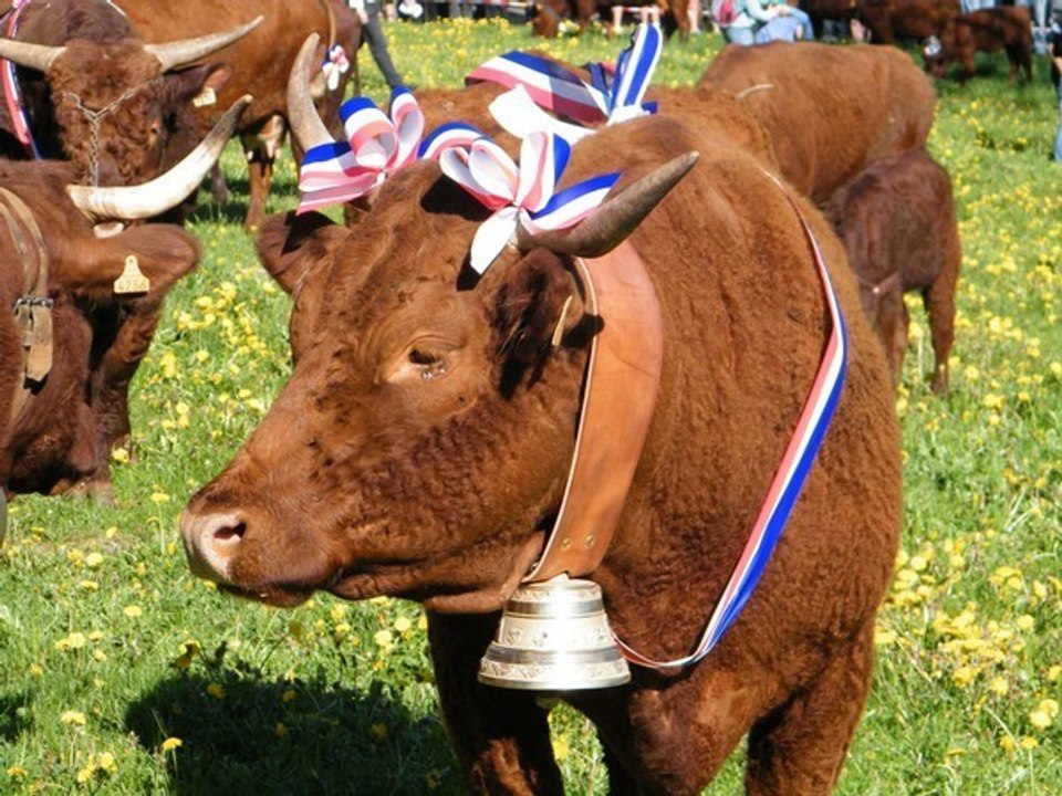 Fête de l'estive Allanche, Cantal, 2010