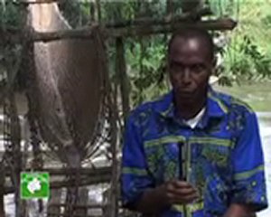 PONT EN LIANE DE POUBARA