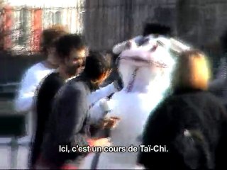 Toro Téka participe à un cours de Tai chi au parc