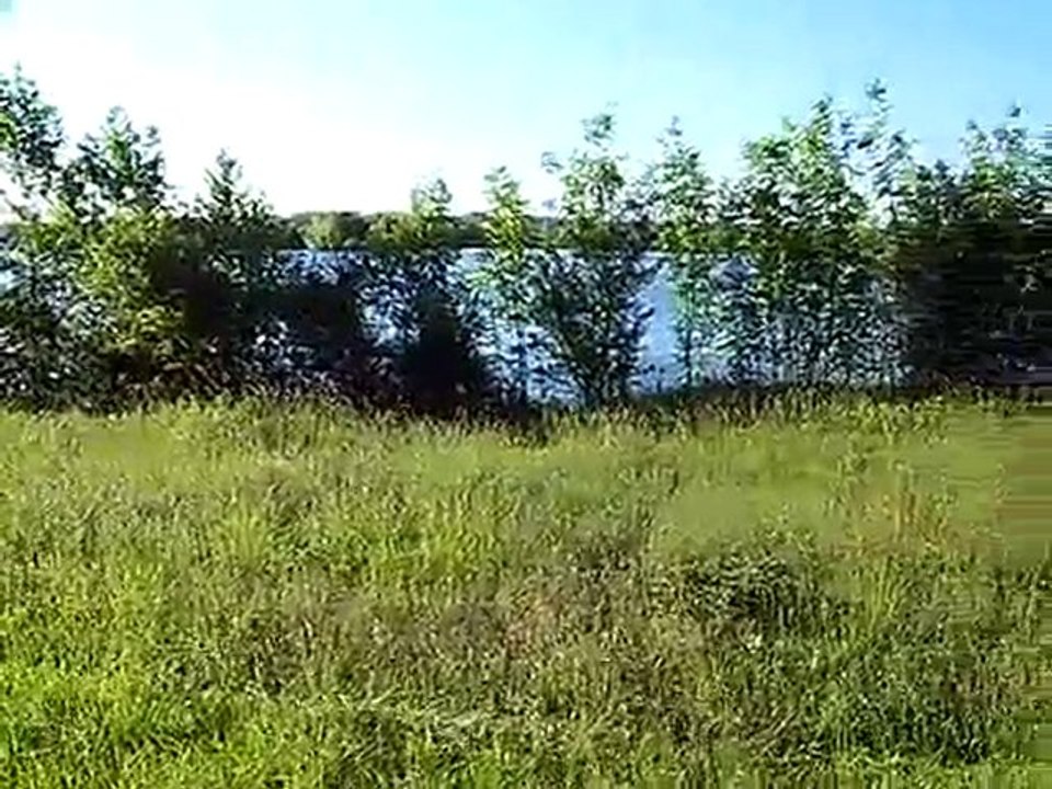 03 06 2010 004