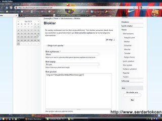 Drupal Bloklar (Drupal blocks)