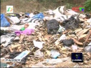 L'environnement dans lequel se trouve Brazzaville