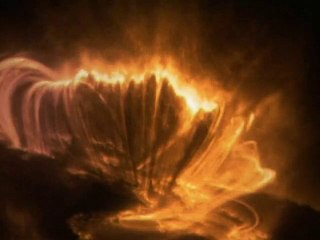 Une place au Soleil pour Picard - JDE juin 2010