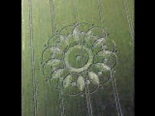 crop cercle.03.06.2010