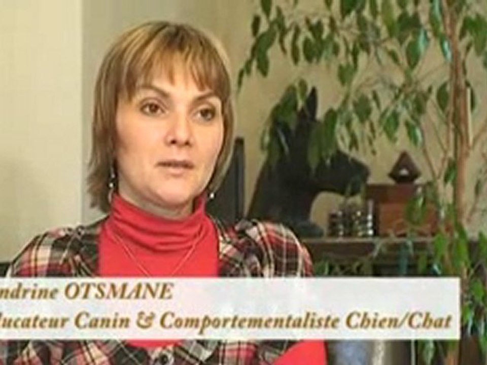 Educateur canin et comportementaliste chien et chat Paris