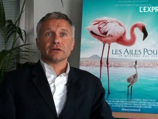 L'environnement vu par Disneynature