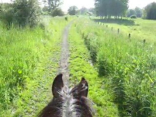 Balade - 28 km avec Jumper