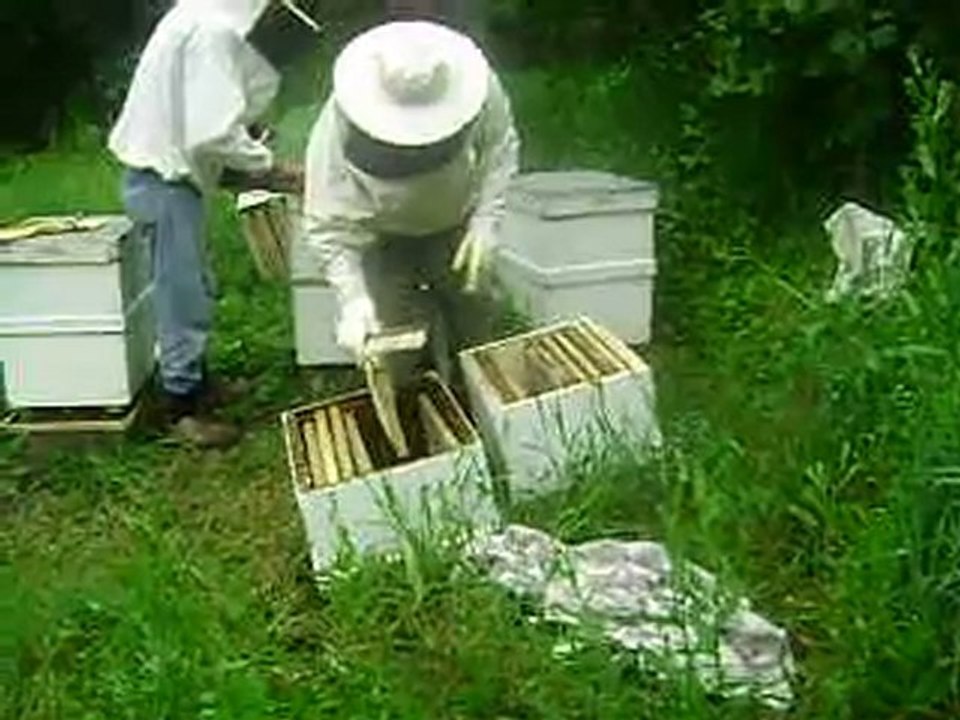 Alaplı Arıcı mehmet türk ve ali ,ünlü