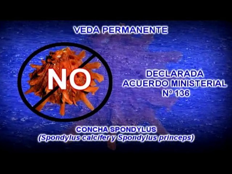 PROYECTO INP-SRP CONCHA SPONDYLUS
