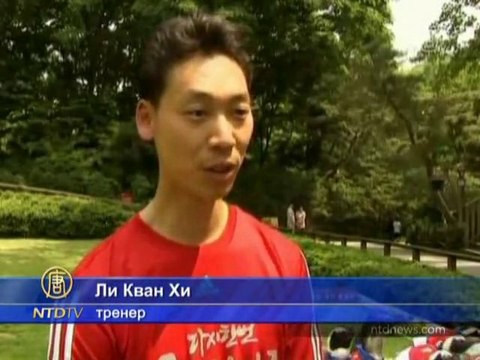 Южнокорейские пингвины научились играть в футбол