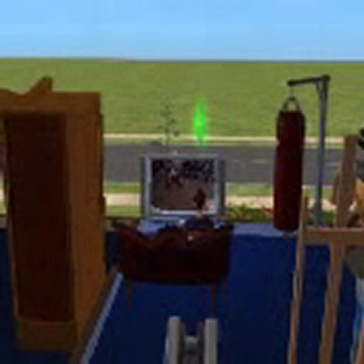sims2 custom TV