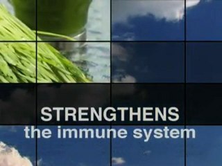 Shakeology  Nutrient Rich Meal Replacement