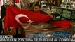 Turquía presentará cargos penales contra responsables de a