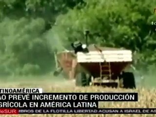 FAO prevé incremento de producción agrícola en América L