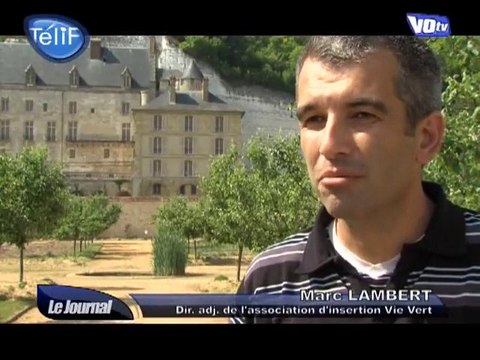 Insertion : un chantier atypique ! (Val d'Oise)