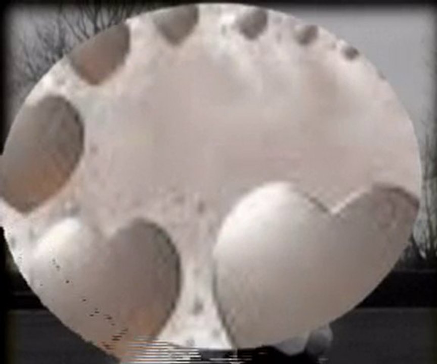 Orhan Gencebay Al senin olsun