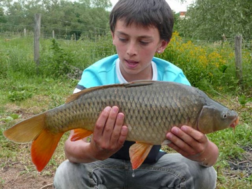 Peche de la carpe